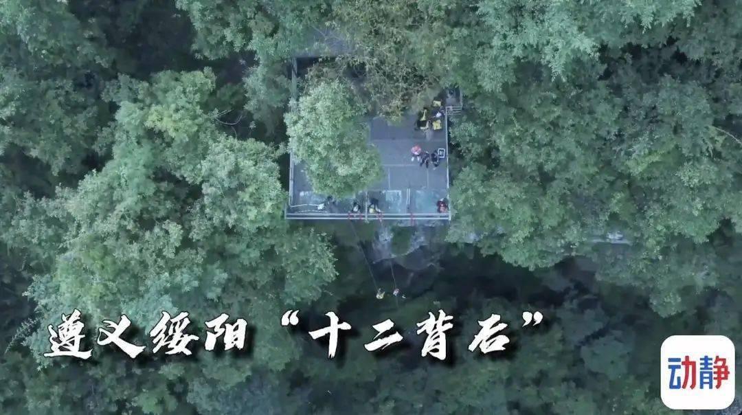 红树林逃生