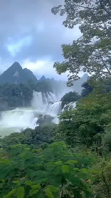 游戏开发者